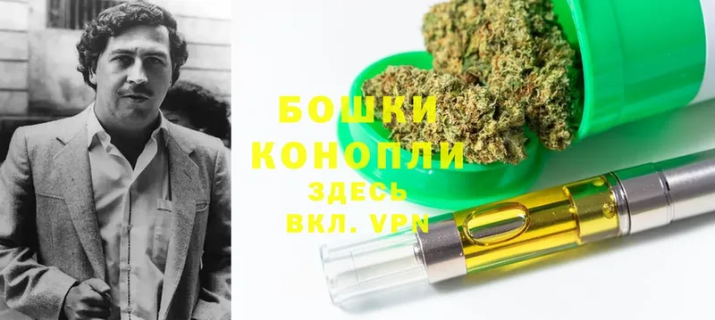 Конопля SATIVA & INDICA  Морозовск 